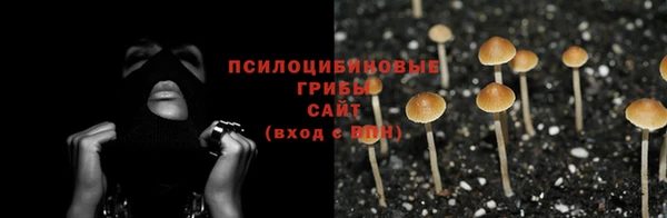 скорость Лиски